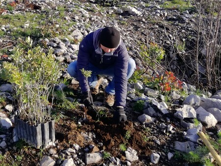 Kras (002). Fotografije so iz arhiva ČZS.